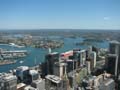 View from Sydney Tower